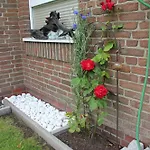 Haus Deichbrise Сasa de vacaciones Niebüll